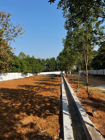 Plot Area in  Plot at Bhogapuram – for Sale