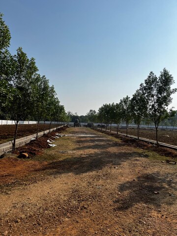 Plot Area in  Plot at Bhogapuram – for Sale