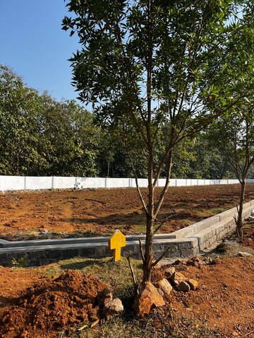 Plot Area in  Plot at Bhogapuram – for Sale