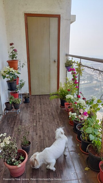 Balcony in 2 BHK Apartment at TCG The Cliff Garden, Hinjewadi – for Rent