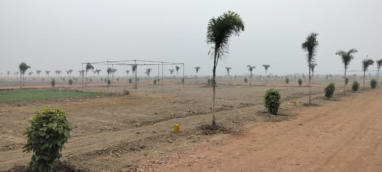 Cover Image, jewar  100 Sq.Yd. Plot In Jewar Greater Noida 8267052