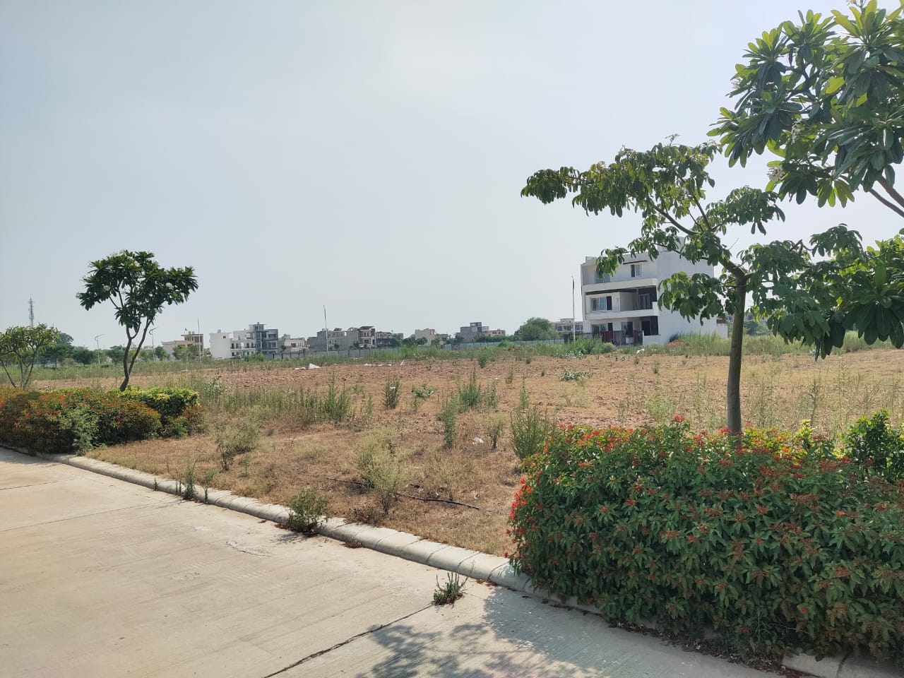 Plot For Sale in Omaxe New Chandigarh