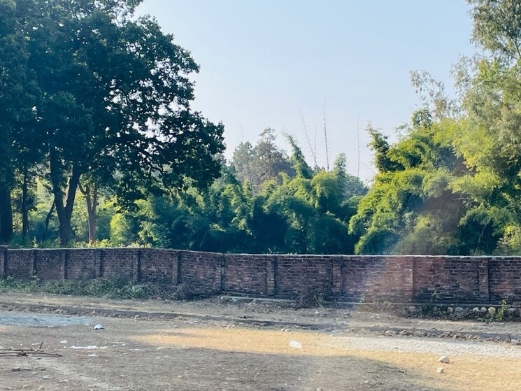 Garden, shimla bypass road  101 Sq.Yd. Plot In Shimla Bypass Road Dehradun 8267618