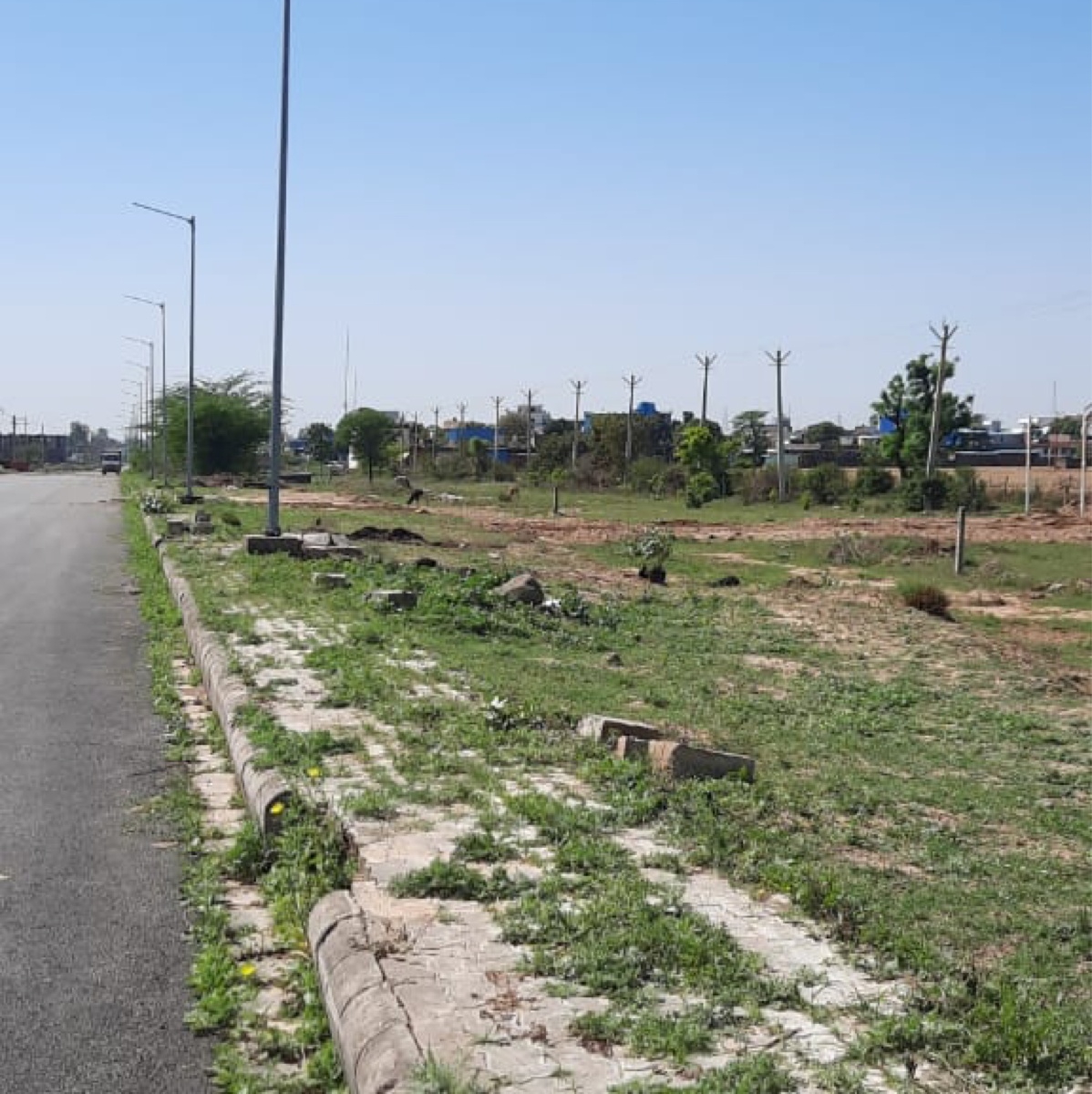 Plot For Sale in Daksh Real Estate