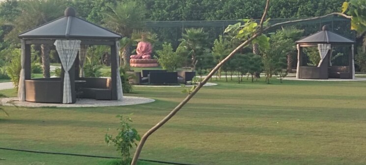 Garden, omaxe-new-chandigarh  120 Sq.Yd. Plot In North Mullanpur Chandigarh 8267550