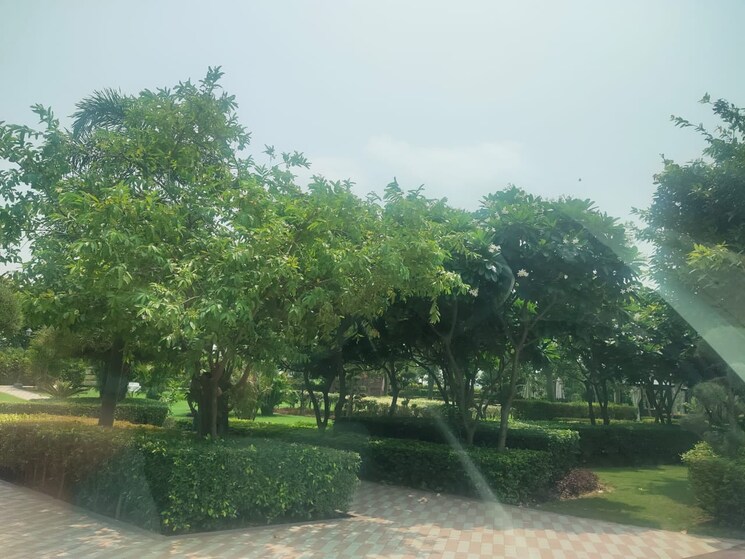 Garden, omaxe-new-chandigarh  120 Sq.Yd. Plot In North Mullanpur Chandigarh 8267550