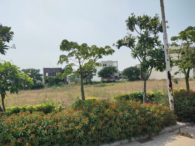 undefined, omaxe-new-chandigarh  120 Sq.Yd. Plot In North Mullanpur Chandigarh 8267550