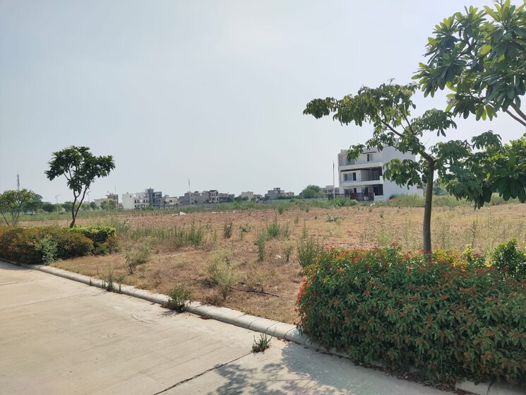 undefined, omaxe-new-chandigarh  115 Sq.Yd. Plot In North Mullanpur Chandigarh 8267669
