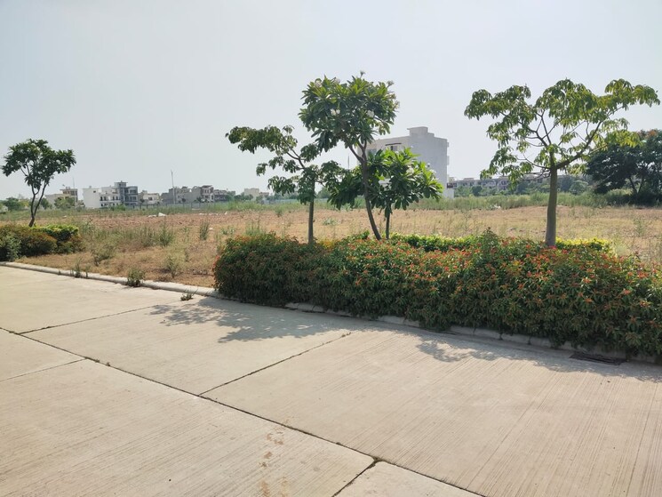 undefined, omaxe-new-chandigarh  115 Sq.Yd. Plot In North Mullanpur Chandigarh 8267669