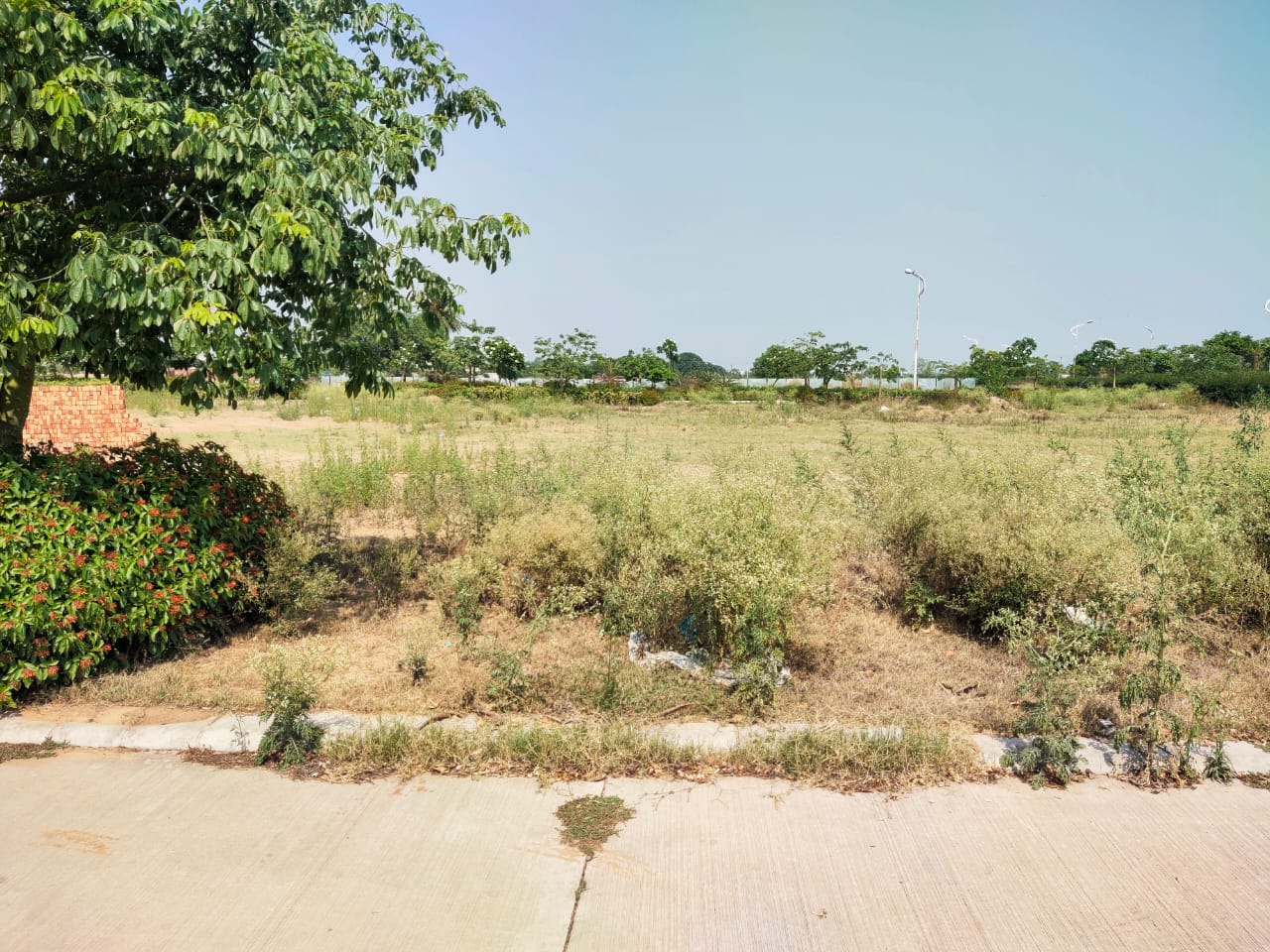 Plot For Sale in Omaxe New Chandigarh