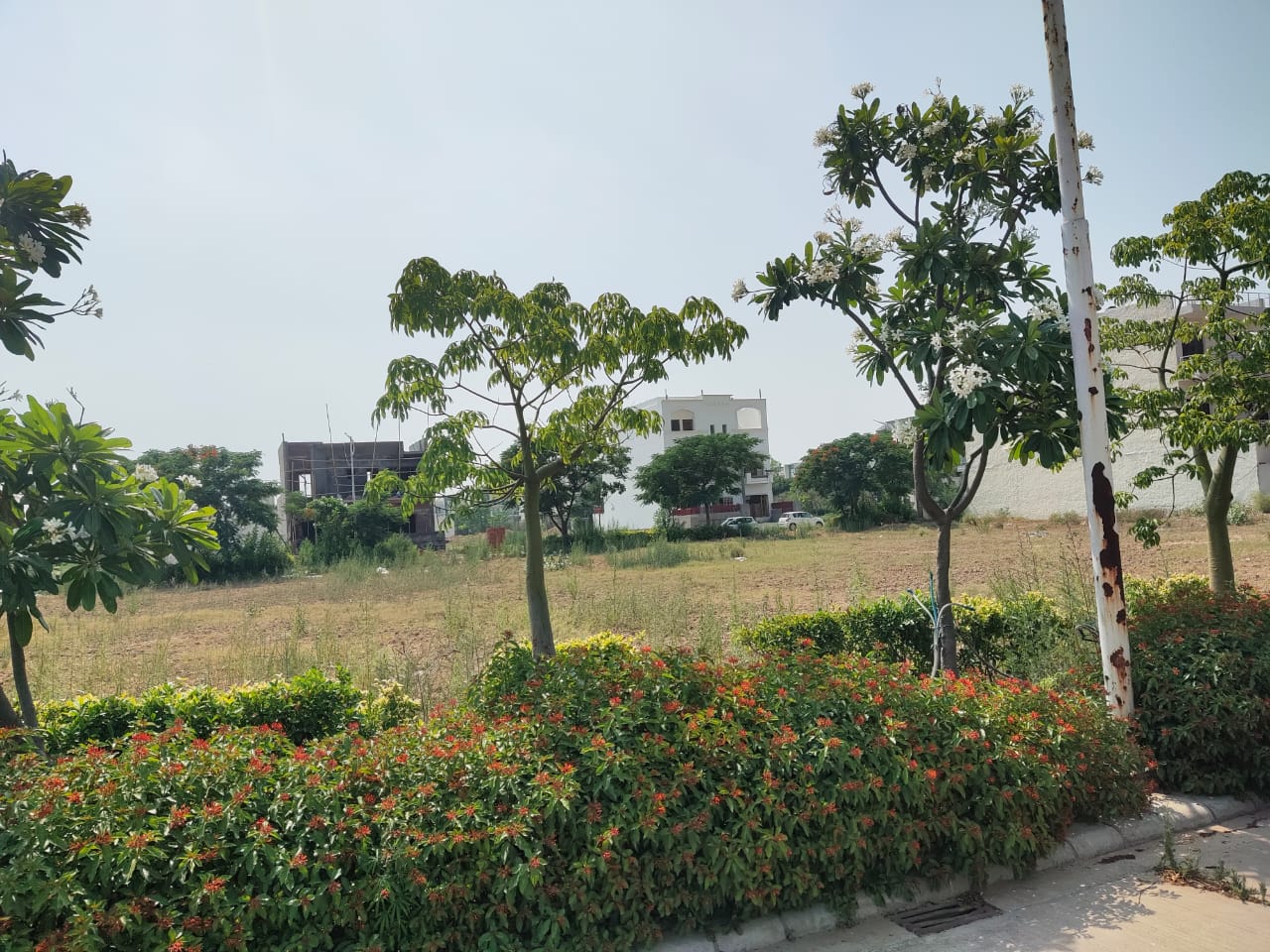 Plot For Sale in Omaxe New Chandigarh