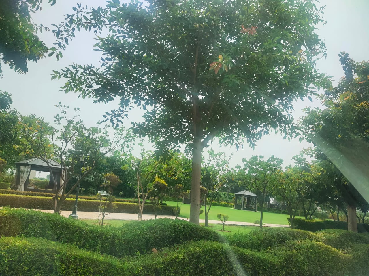 Plot For Sale in Omaxe New Chandigarh