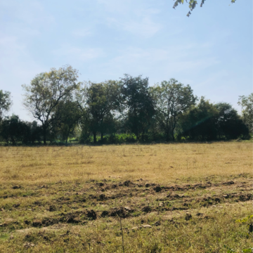  Plot – Exterior View View at Ognaj - for Sale