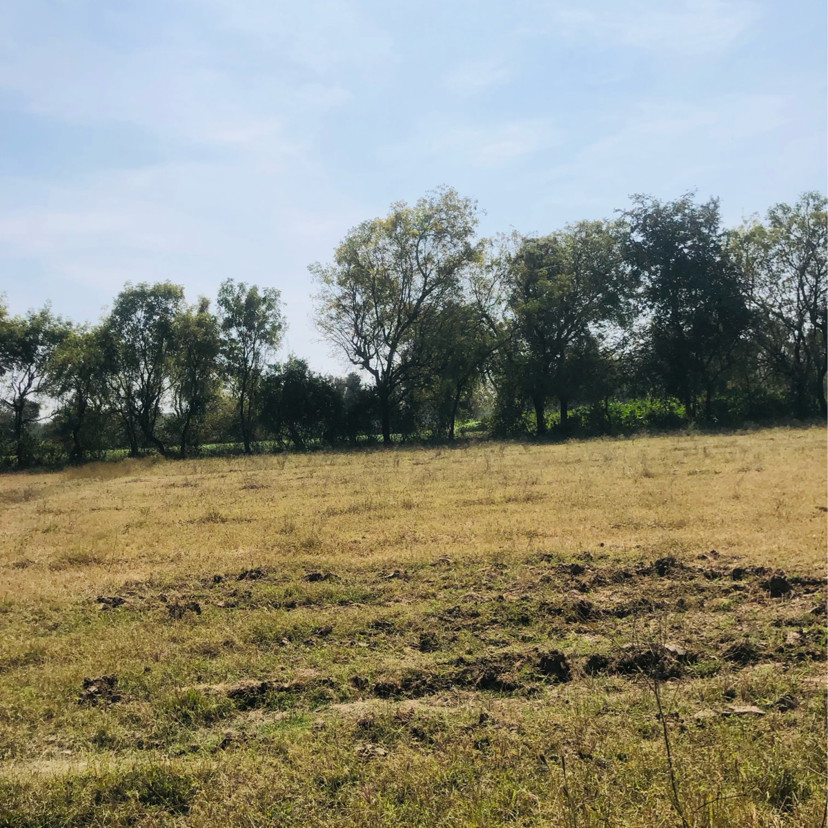 Plot For Sale in Ognaj Circle 