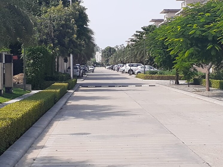 Garden, omaxe-ambrosia 3 Bedroom 1492 Sq.Ft. Builder Floor In North Mullanpur Chandigarh 8270583