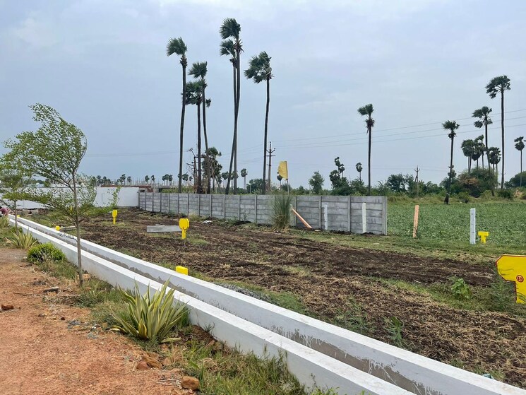 Exterior View, tadigadapa  131 Sq.Yd. Plot In Tadigadapa Vijayawada 8270800