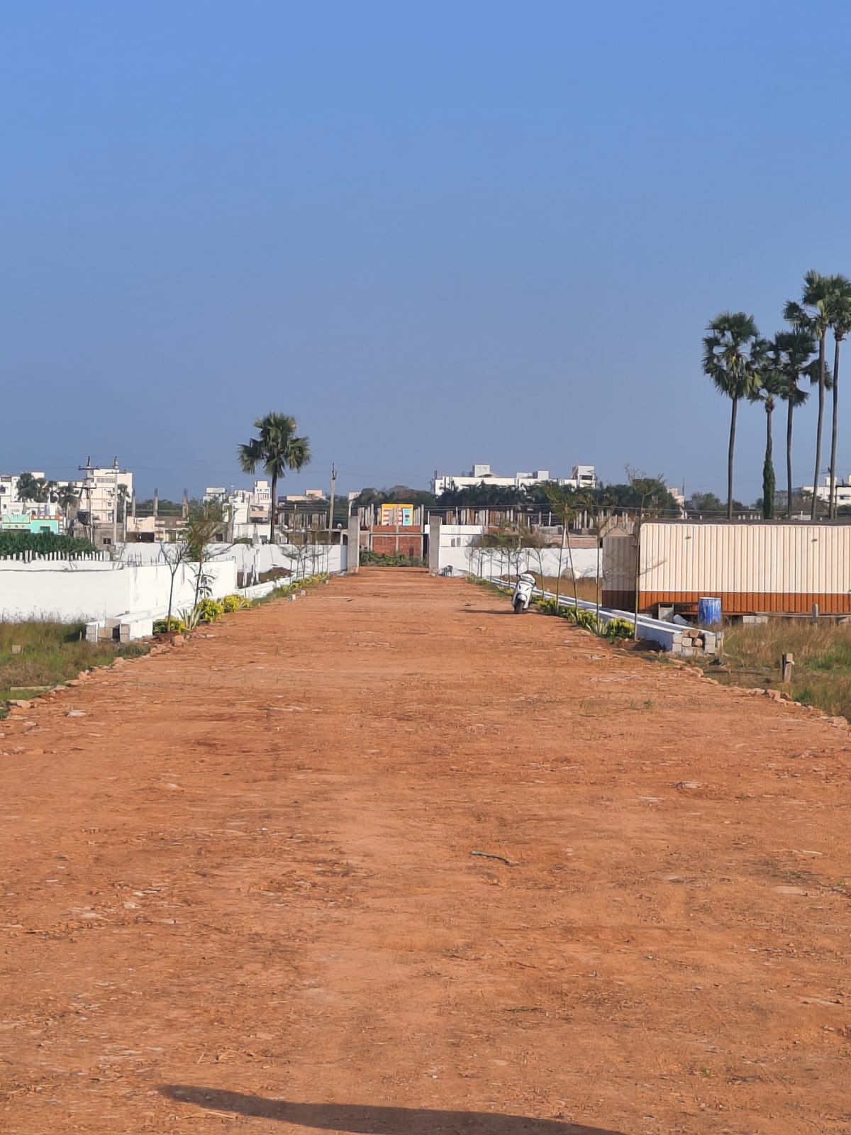 Plot For Sale in Tadigadapa