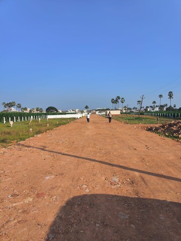 Plot Area in  Plot at Tadigadapa – for Sale