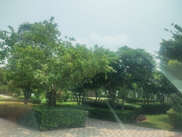 3 BHK Builder Floor – Garden View at Omaxe Ambrosia, North Mullanpur - for Sale