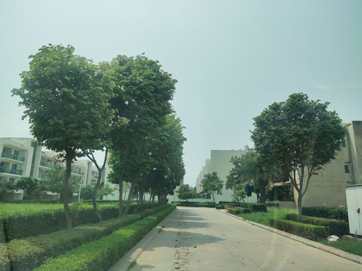 Garden, omaxe-ambrosia 3 Bedroom 1465 Sq.Ft. Builder Floor In North Mullanpur Chandigarh 8270451