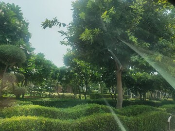 Plot Area in 3 BHK Builder Floor at Omaxe Ambrosia, North Mullanpur – for Sale