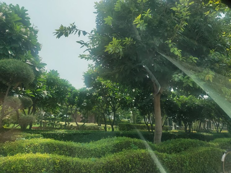 Master Bedroom, omaxe-ambrosia 3 Bedroom 1465 Sq.Ft. Builder Floor In North Mullanpur Chandigarh 8270451