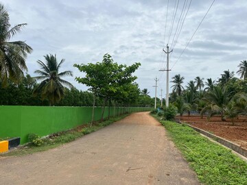 Plot Area in  Plot at Bhogapuram – for Sale