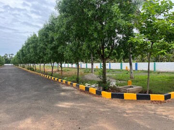 Parking in  Plot at Bhogapuram – for Sale