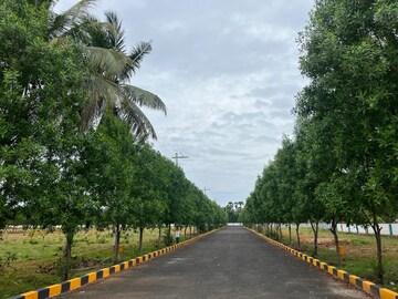  Plot – Garden View at Bhogapuram - for Sale