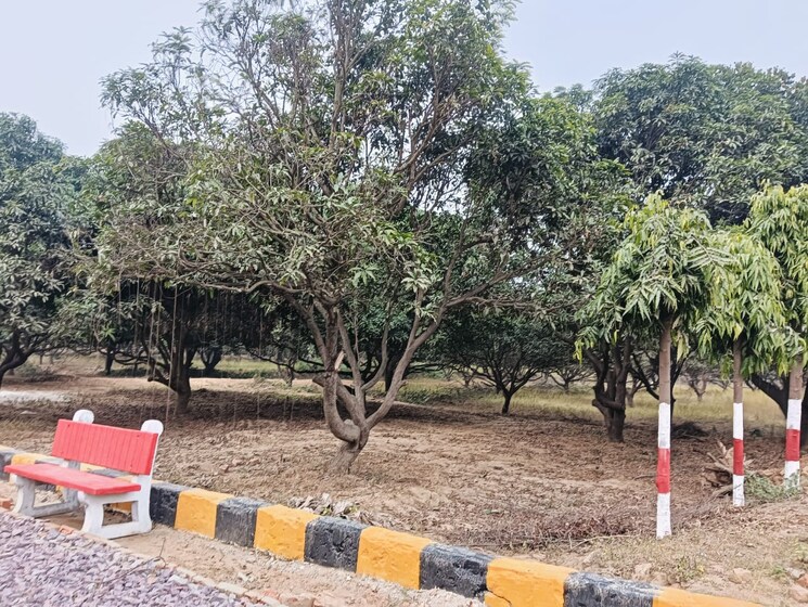 undefined, sahar-plaza-indira-nagar  1000 Sq.Yd. Plot In Indira Nagar Lucknow 8272223