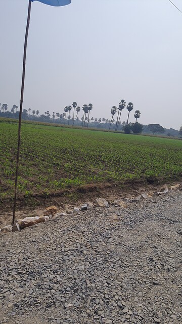 Plot Area in  Plot at Chandramouli Nagar – for Sale
