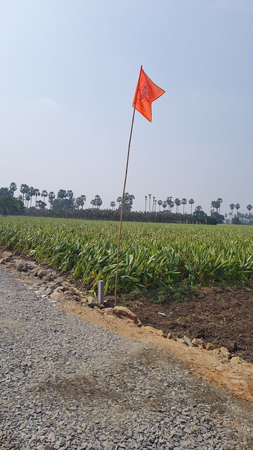  Plot – Exterior View View at Chandramouli Nagar - for Sale