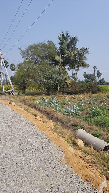  Plot – Exterior View View at Chandramouli Nagar - for Sale