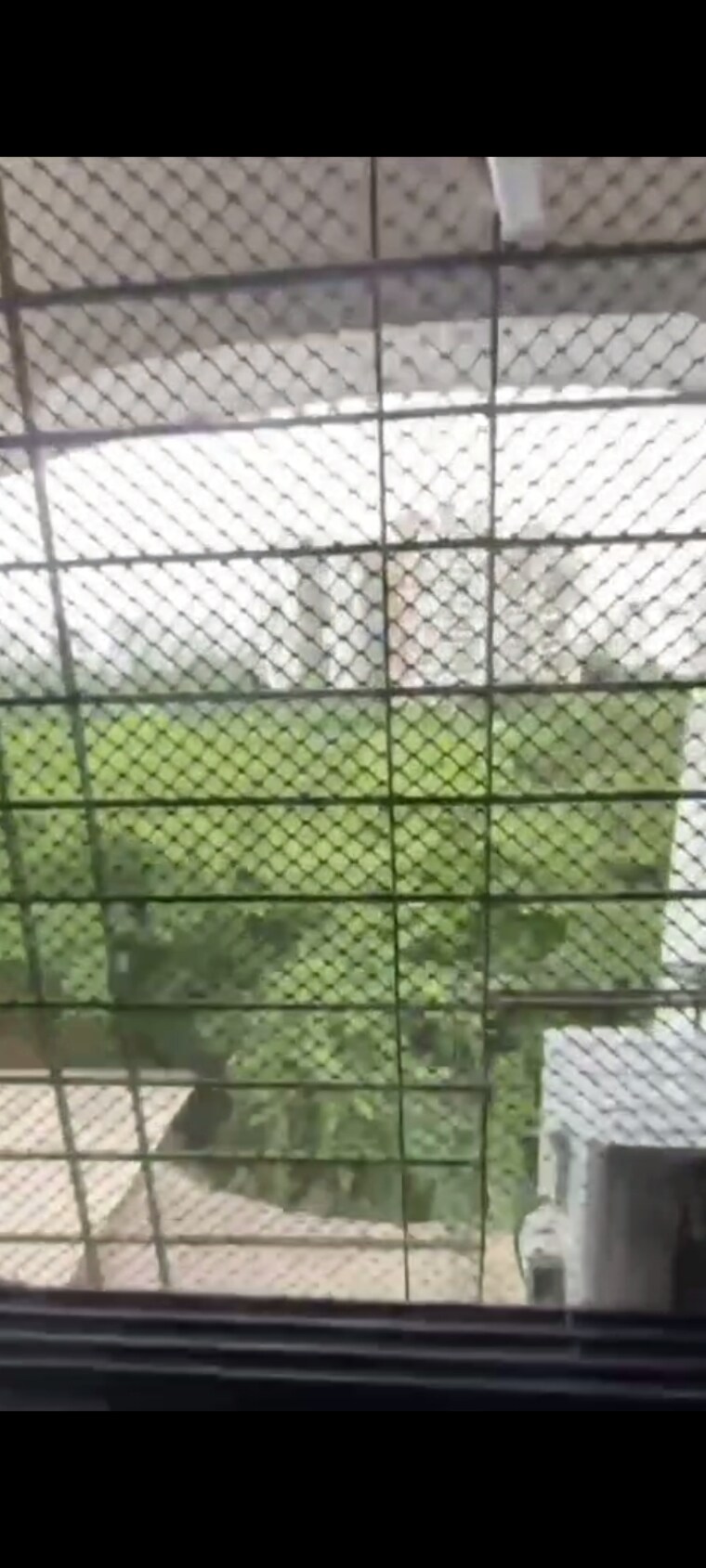 Balcony, puranik-city 1 Bedroom 400 Sq.Ft. Apartment In Kasarvadavali Thane 8272439