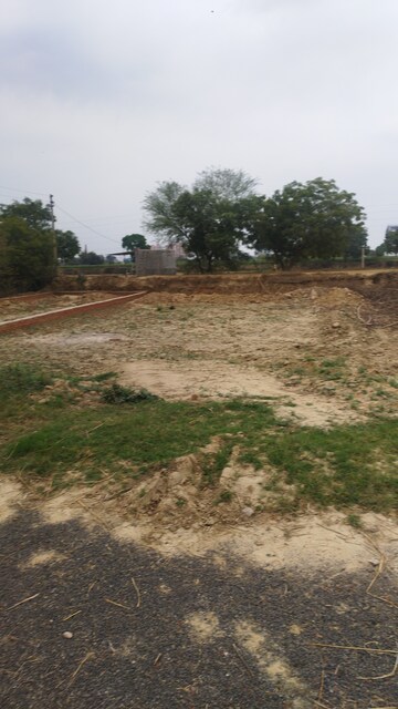 Plot Area in  Land at Morta – for Sale