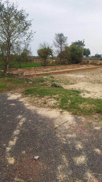 Plot Area in  Land at Morta – for Sale