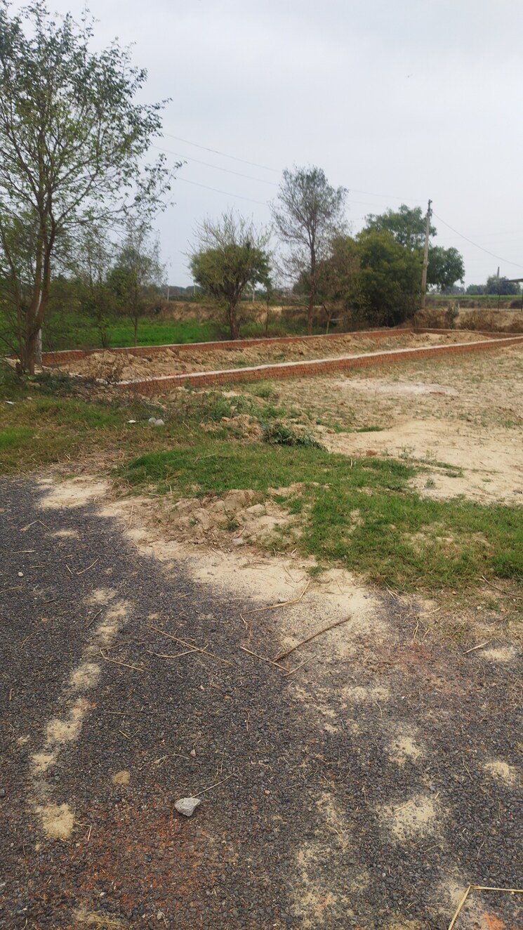 undefined, morta Commercial Land 200 Sq.Yd. In Morta Ghaziabad 8272989