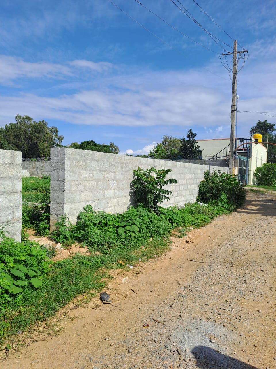 Plot For Sale in Akshayanagar