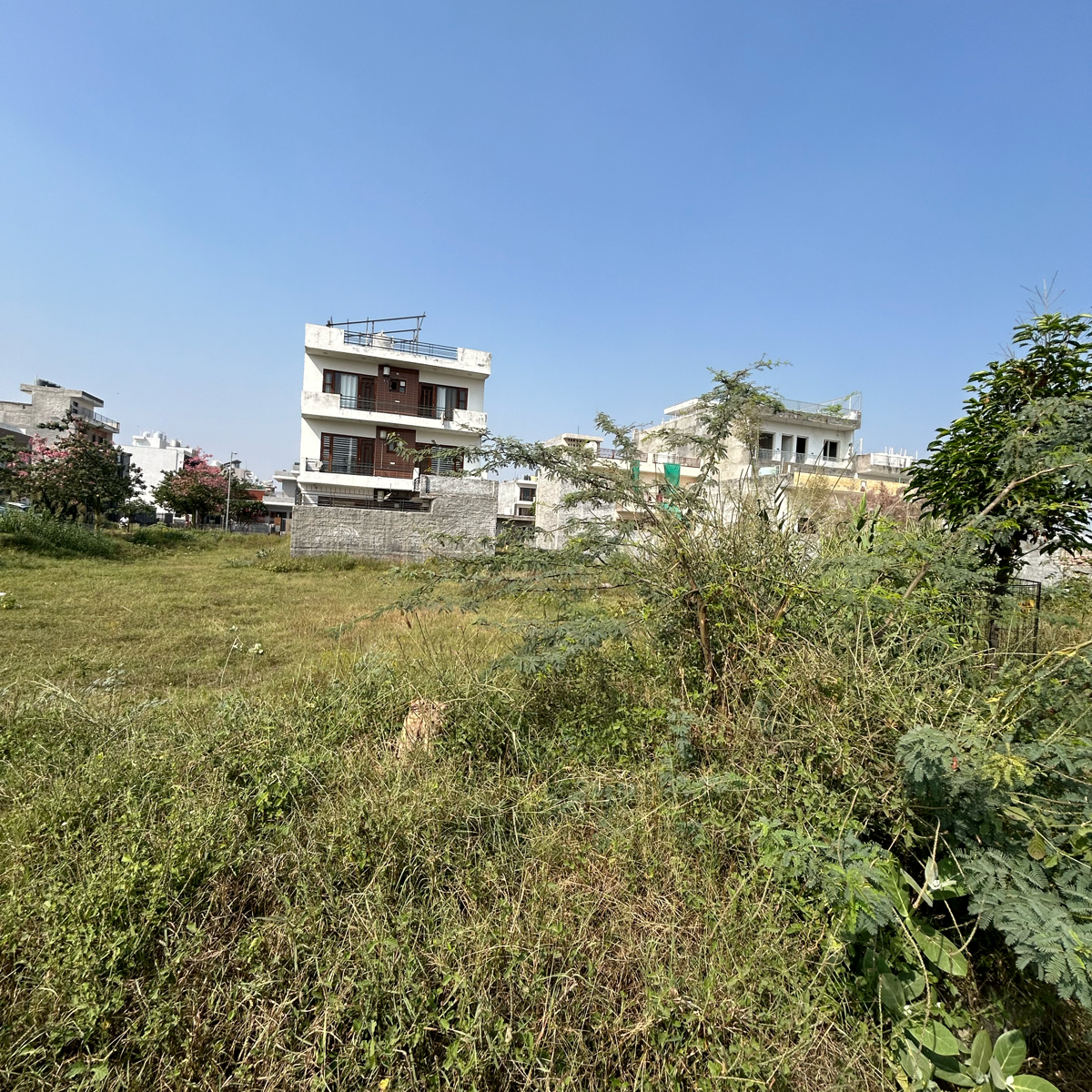 Plot For Sale in Daksh Real Estate