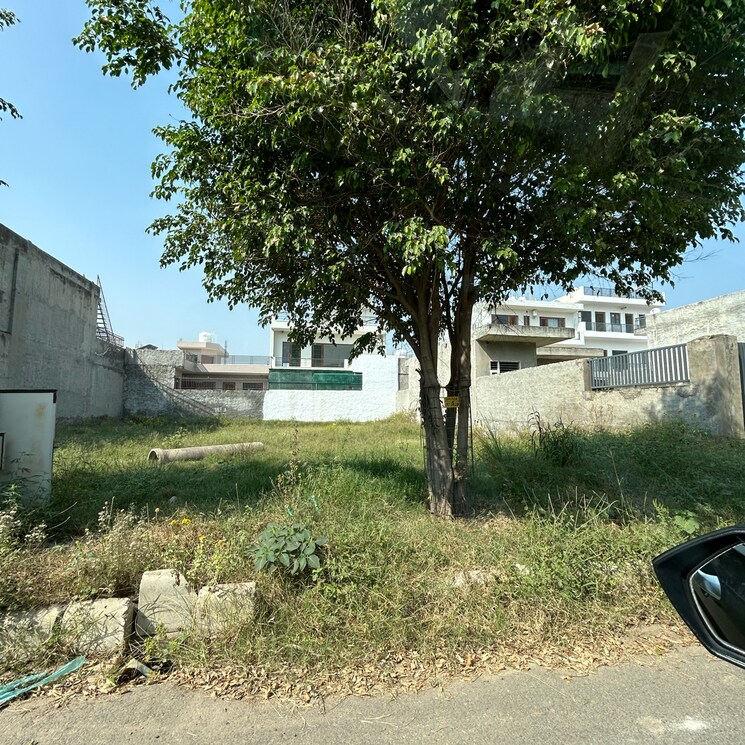 undefined, aerocity  500 Sq.Yd. Plot In Aerocity Mohali 8273287