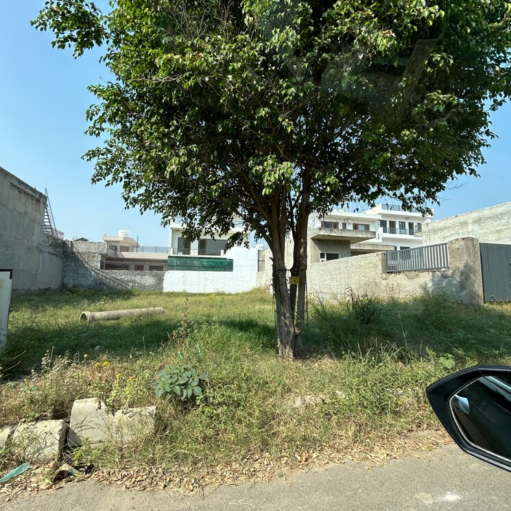  Parking, aerocity  500 Sq.Yd. Plot In Aerocity Mohali 8273388