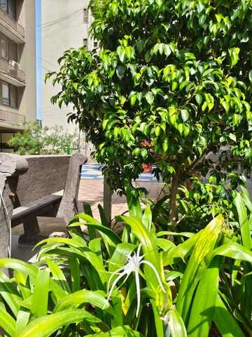  3 BHK Apartment at Anand Nagar – for Rent