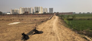  Plot For Sale in Ramnagar