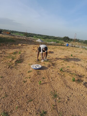 Plot Area in  Plot at Kondamadugu – for Sale