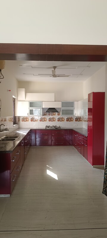 Kitchen in 5 BHK Independent House at Sector 15 – for Rent