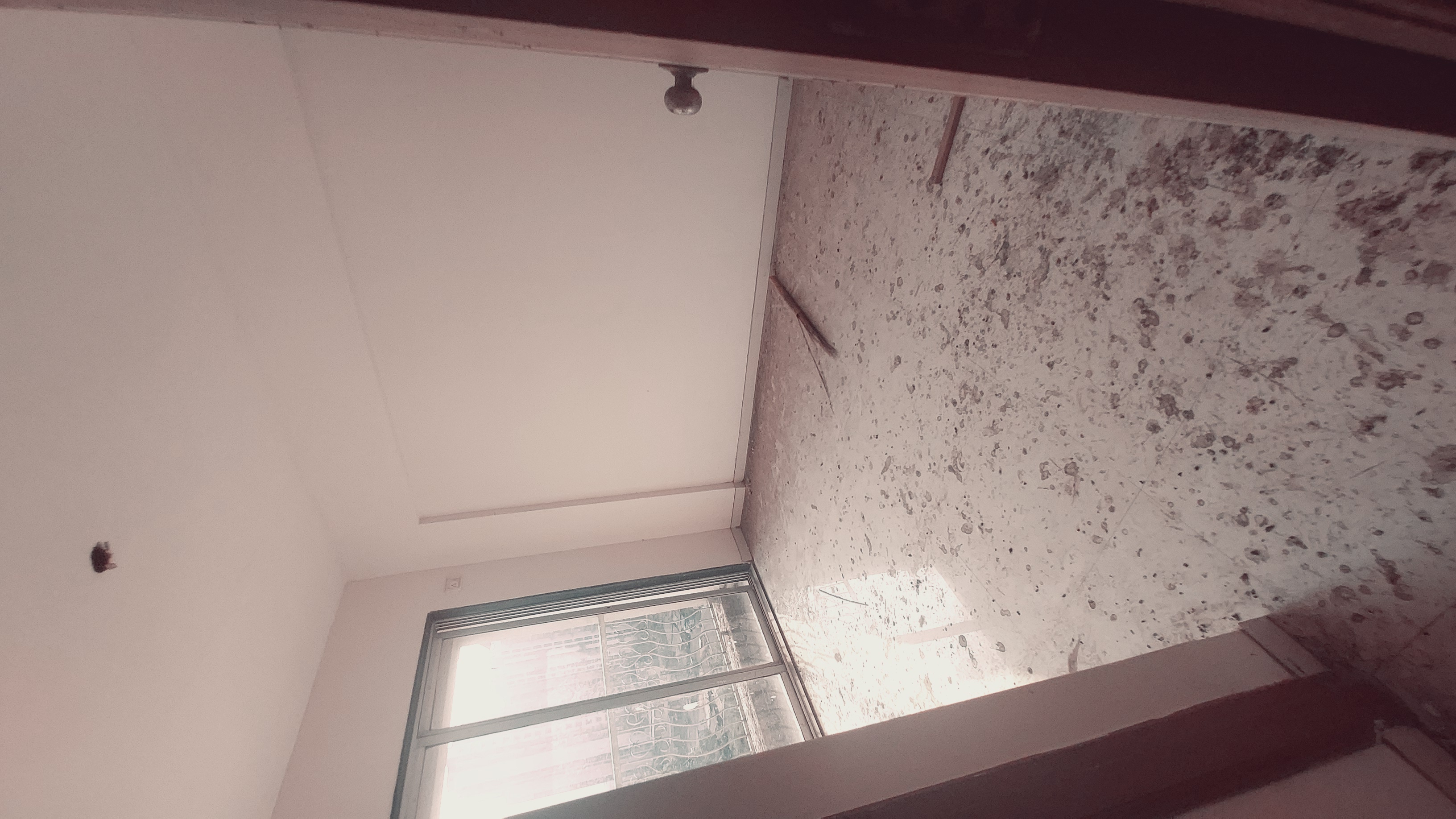 1 BHK + Extra Room Apartment For Sale in Om Residancy Khardipada 