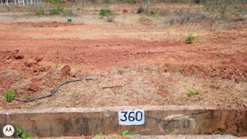 Plot For Resale in Kodigehalli Bangalore  8275449