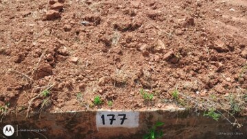 Plot Area in  Plot at Nadaprabhu Kempegowda Layout Kodigehalli, Kodigehalli – for Sale