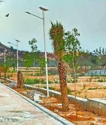 Plot For Sale in Ceremony City 