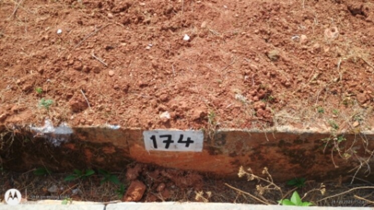 undefined, nadaprabhu-kempegowda-layout-kodigehalli  600 Sq.Yd. Plot In Kodigehalli Bangalore 8275576